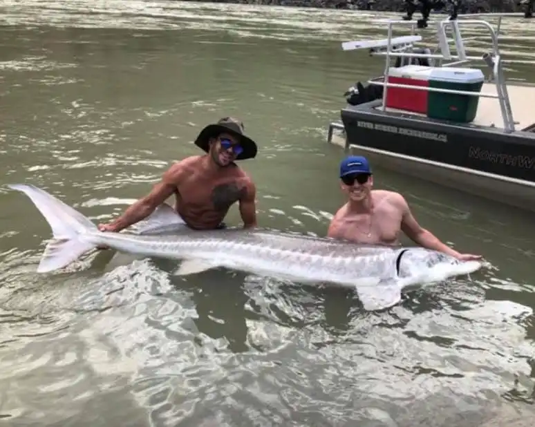 Calgary Electrical Company – About Ampt Over Electric 4